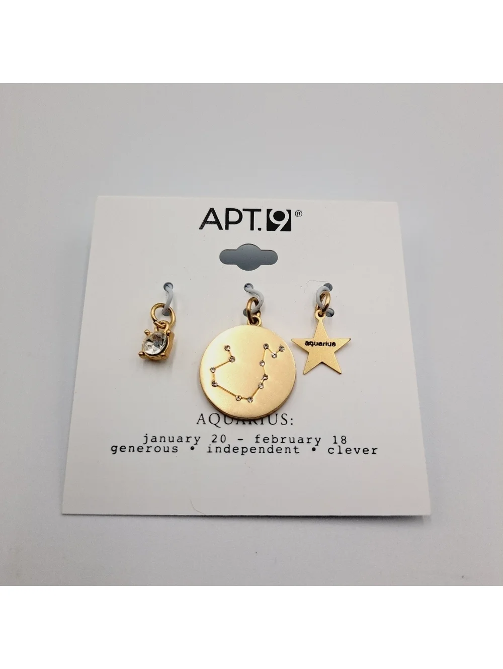 Aquarius Zodiac Pendant Charm Set